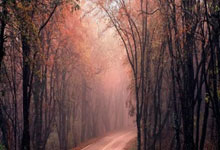 手感一般！杜兰特19中7拿到23分6板2助2断2帽 4次失误.