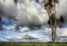 早报：金靴还是冠军？我全都要.jpg.