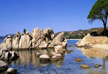 2025石家庄马拉松赛鸣枪开跑 3.5万名选手参赛3-30 20：31.